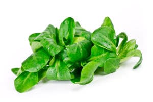 Feldsalatblätter - nicht nur für Salate geeignet