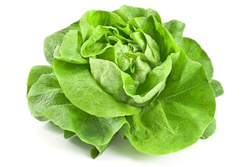 Kopfsalat als Zutat für grüne Smoothies