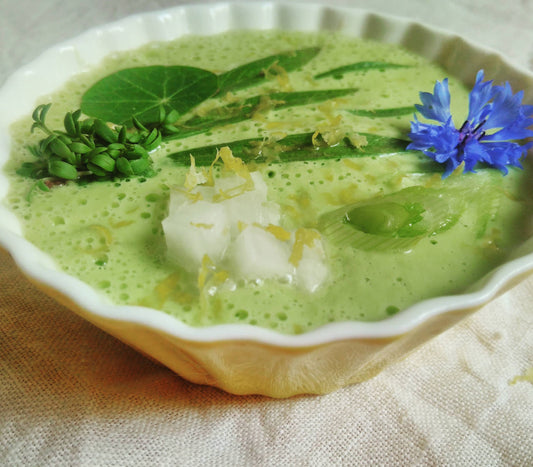 Gurkensuppe mit frischen Kräutern