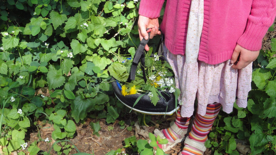 Kräuter sammeln - 6 Tipps für den perfekten Wildkräuter Smoothie