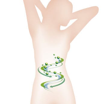 Verdauungsprobleme durch grüne Smoothies