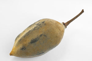 Baobab Pulver
