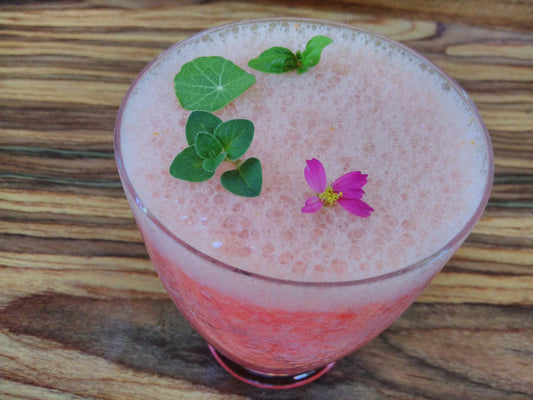 Zweierlei Wassermelonen Smoothie
