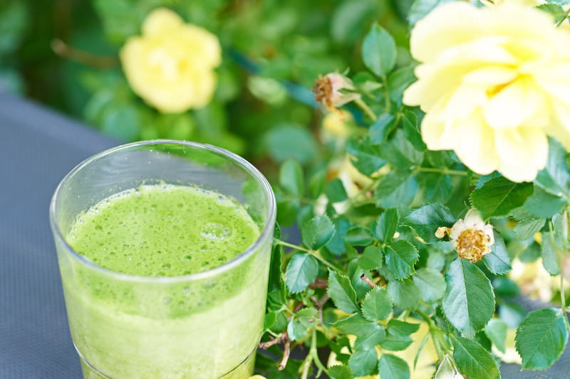 Brennnessel Löwenzahn Smoothie - Rezept