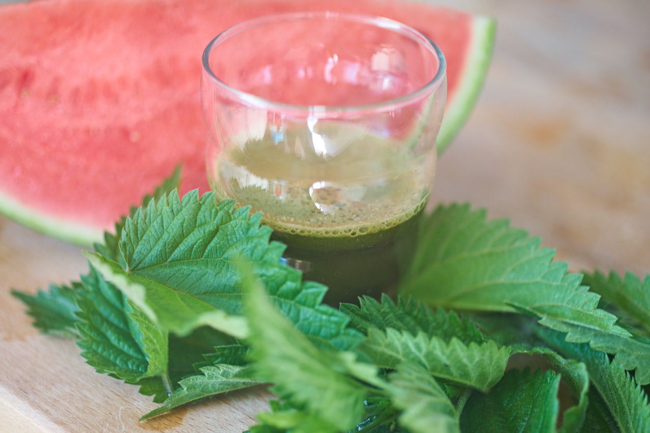 Saftrezept - Brennnessel und Melone