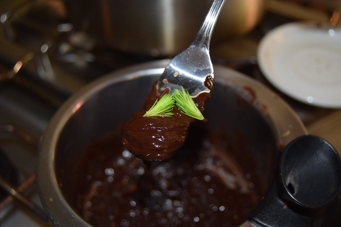 Frische Baumtriebe als Zutat für die grüne Küche