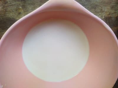 Hafermilch von der Haferkuh