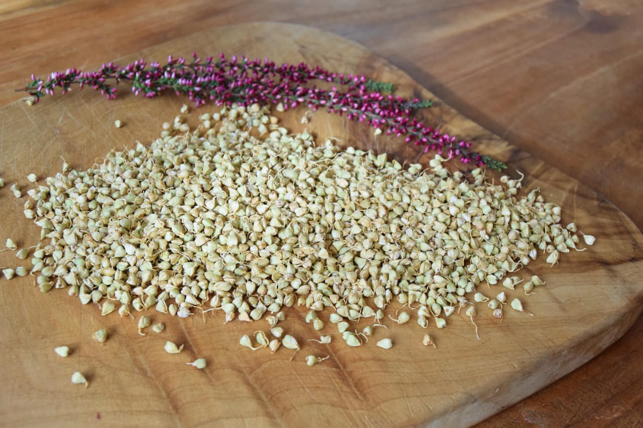 Rezept - Knuspriger gekeimter Buchweizen