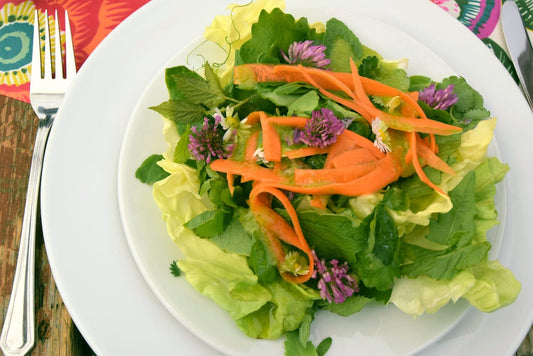 Vitalstoffe Wildkräuter - Mixen, Entsaften oder Kauen