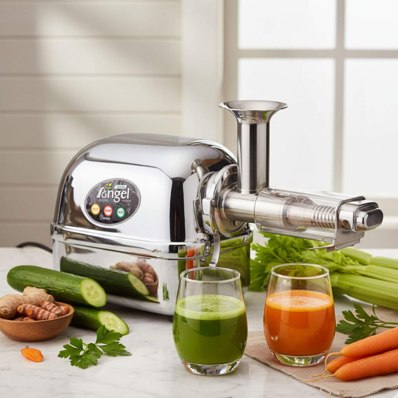 Angel Juicer Entsafter