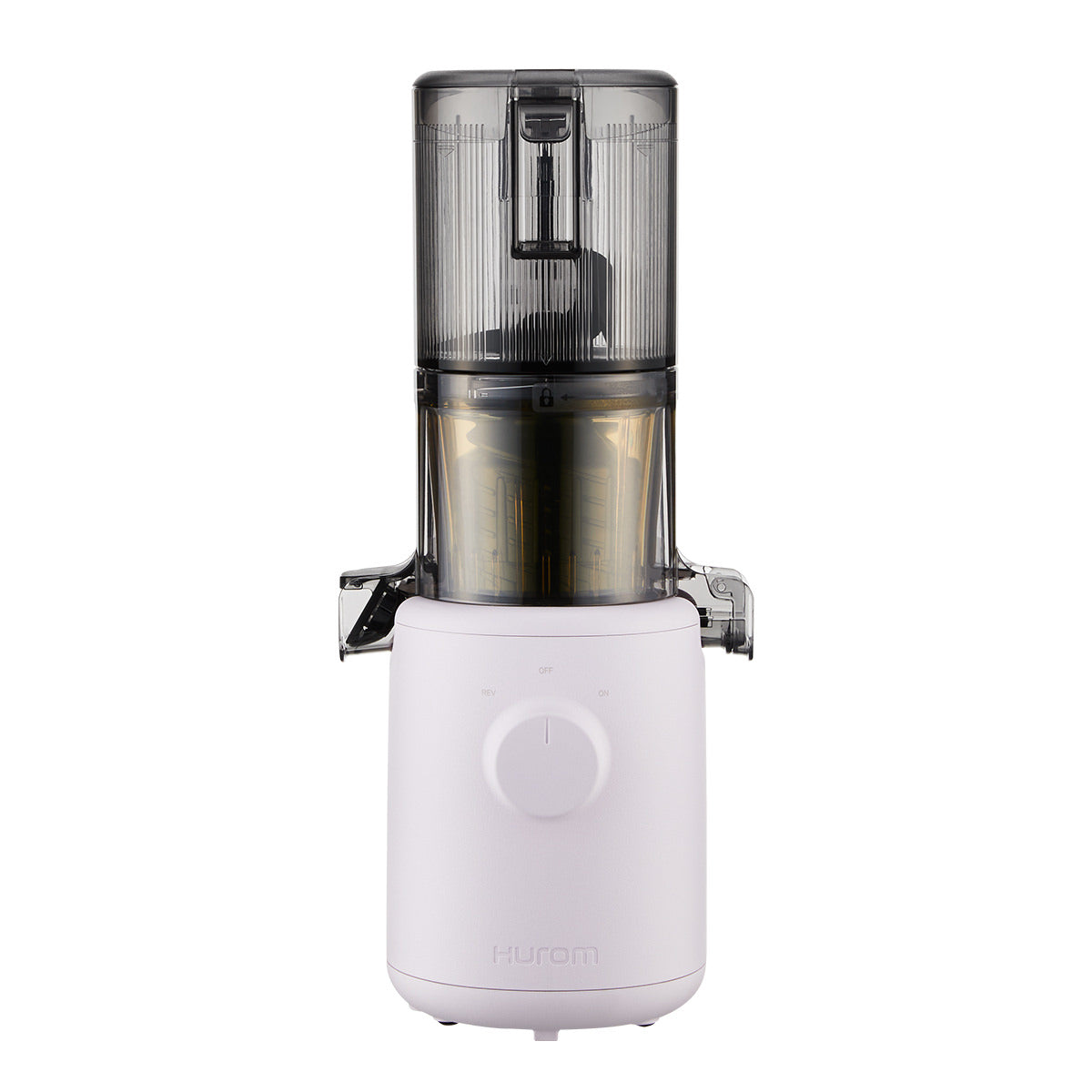 Hurom H310A Slow Juicer