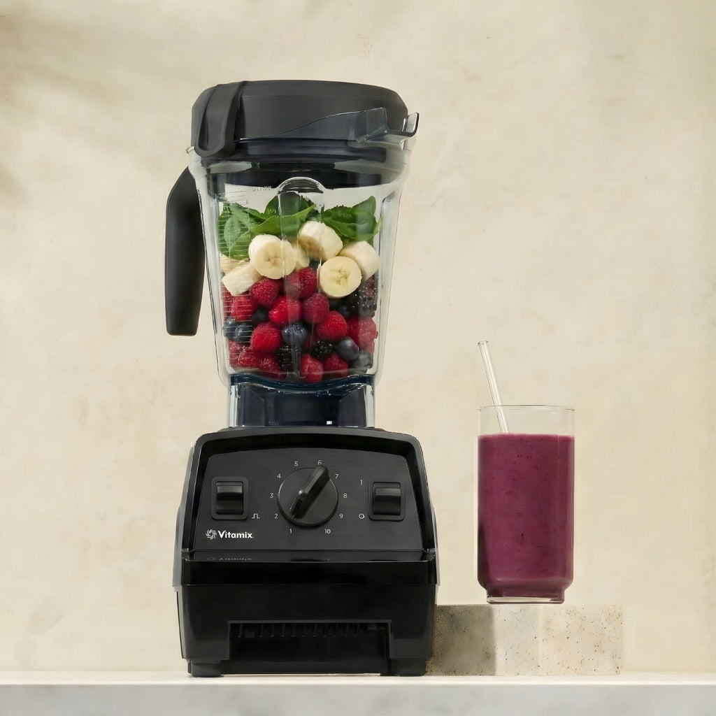 Vitamix E320