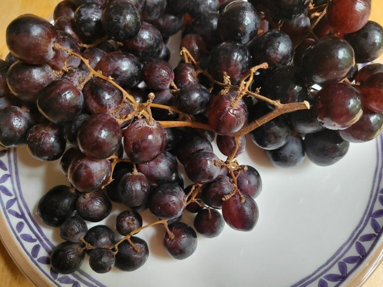 Blaue Trauben