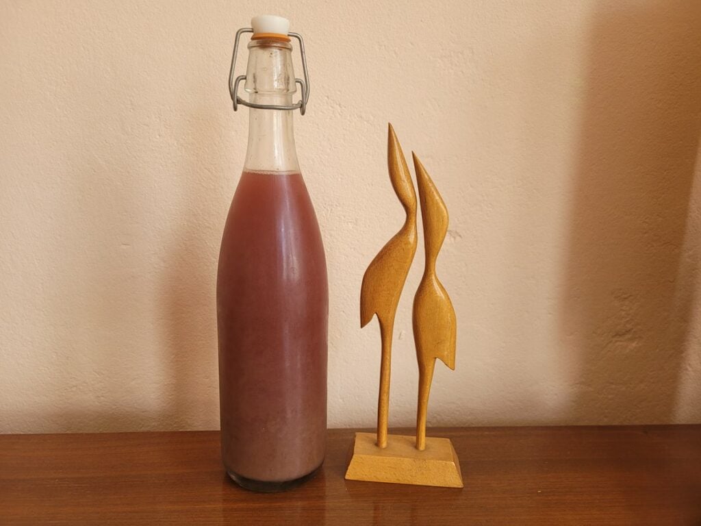 Blaue Trauben + Gurkensaft in Flasche