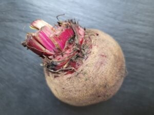 rote bete