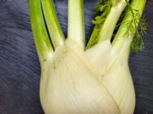 Fenchel