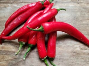 Chili-Schoten