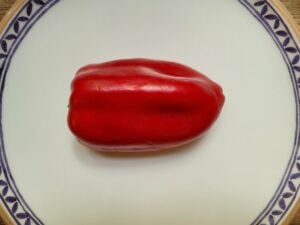 Paprika
