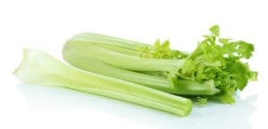 Stangensellerie
