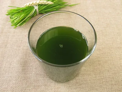 Weizengrassaft selbst gepresst