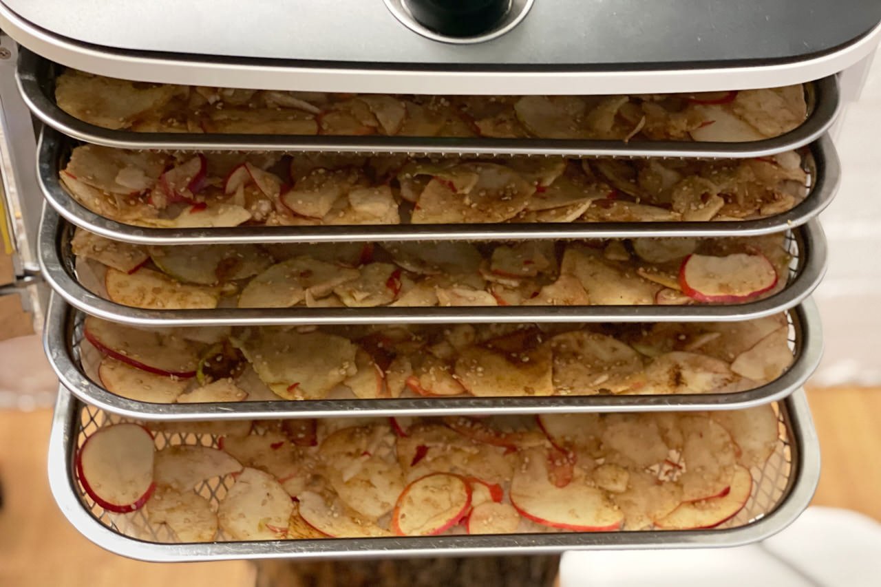 Apfelstücke auf Dörrblechen