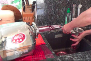 Reinigung des Entsafters