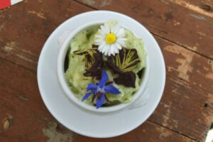 Sorbet mit Kräutern