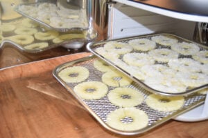 Mit Infrarot gedörrte Ananas