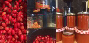 Hurom H-AA in der Küche