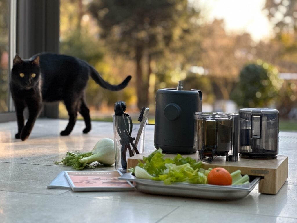 Hurom H310 Teile und Kater Bela