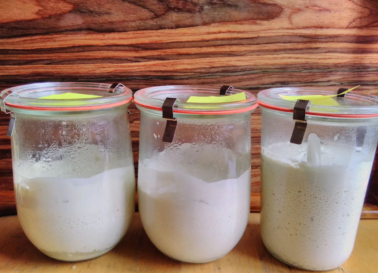 Veganer Cashew Joghurt im Glas