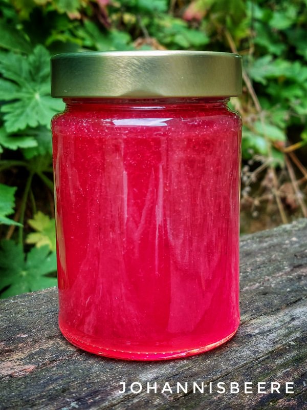 Gelee von Johannisbeeren, mit Hurom H-AA zubereitet